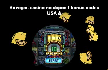 Bovegas free spins 2019